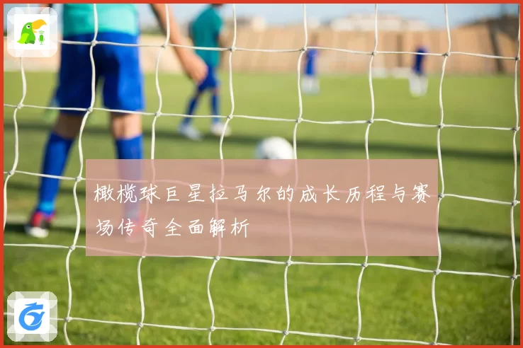 橄榄球巨星拉马尔的成长历程与赛场传奇全面解析