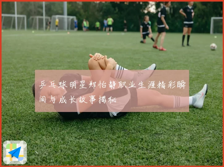 乒乓球明星郑怡静职业生涯精彩瞬间与成长故事揭秘